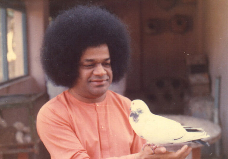 Shri Sathya Sai Baba divine spiritual teaching picture, Brahmaanda Naayaka