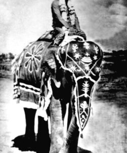 Bhagwan Shri Sathya Sai Baba serene divine portrait image