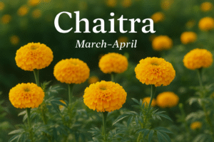 ChatGPT Image Nov 4 2025 10 12 05 AM