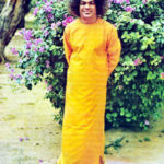 Shri Sathya Sai Baba garden portrait image