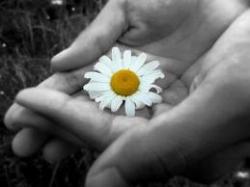 The Illusion of Life - Alan Watts 55 tow4