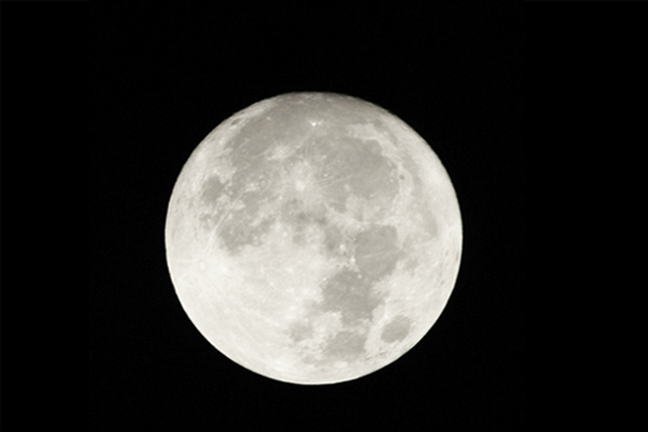 Gita: The Song of Life – 5 54 TDTA 3 5