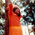 Bhagwan Shri Sathya Sai Baba beneath sunlit trees