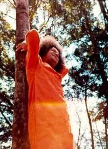 Bhagwan Shri Sathya Sai Baba beneath sunlit trees