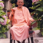 Elderly Hindu monk seated peacefully in a garden