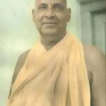 The Individual Nature
