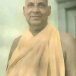 The Individual Nature