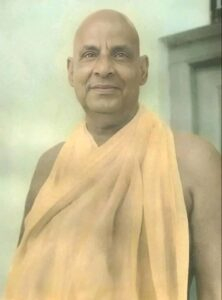 The Individual Nature