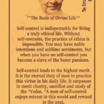 The Divine Life Society Rishikesh 16 1