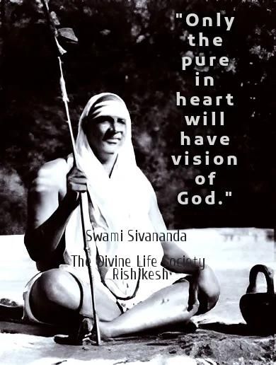 The Divine Life Society Rishikesh 16