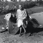 Swami Sivananda sitting on a fallen tree trunk