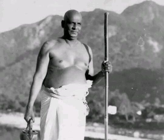 download 44 e1770890440467