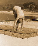 Person performing Surya Namaskara yoga posture outdoors