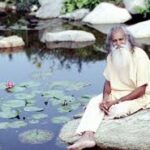 Sri Satchidananda Saraswati meditating peacefully beside tranquil lotus pond