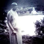 Swami Sivananda overlooking peaceful riverside landscape