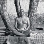 Swami Sivananda meditating peacefully beneath sacred trees outdoors