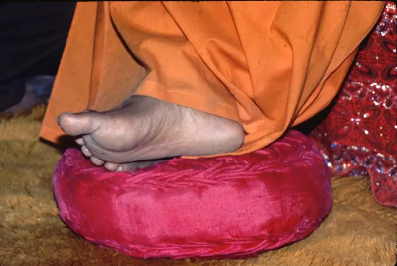 Sathya Sai Educare – Human Value