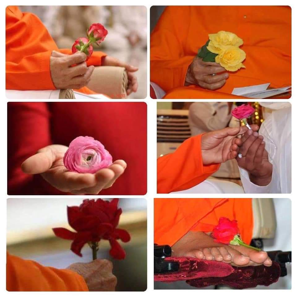 swami lotus hands and feet orig