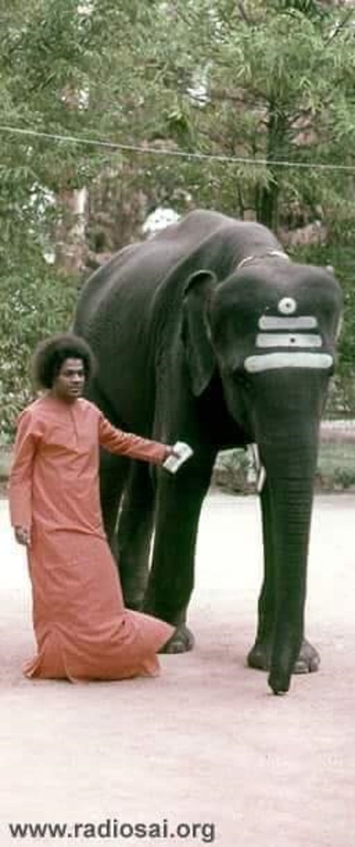 Sathya Sai Baba standing beside an elephant.