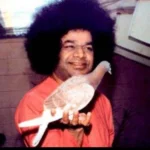 Sri Sathya Sai Baba with pigeon