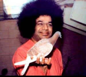 Sri Sathya Sai Baba with pigeon