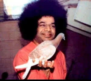 Sri Sathya Sai Baba with pigeon