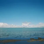 nature2