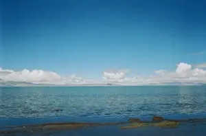 nature2