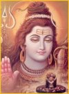 shiva2c