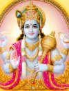vishnu2c