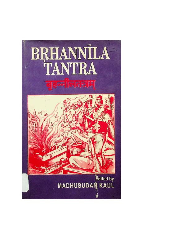 60_Brhannila_Tantram